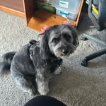 Sandra Gaertner - @esgaertner65 - Instagram