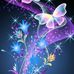 Sandra Gala - Facebook