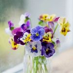 Sandra Galbraith Gillespie - @sasabythebay - Instagram