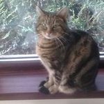 Sandra Greer - @sandra.galbraith.5 - Instagram