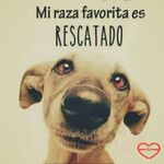 sandra luz suarez galbraith - @sandraluzsuarezgalbraith - Instagram