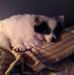 Sandra Galster - Facebook