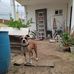 Sandra Galvez - Facebook