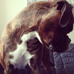 Sandra Gambill - @choneblabinvader - Instagram