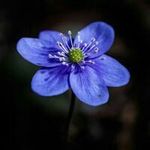 Sandra Gamble - @gamble6576 - Instagram
