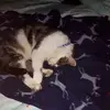 Sandra Gamble - @user3769686765721 - TikTok