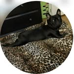 Sandra Hill Gamble - @sandrahillgamble - Instagram