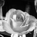 Sandra Soriano - Facebook