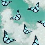 Sandra Jessika Garber - @sandrajessikagarber - Instagram