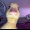 sandragarbol - @sandragarbol - TikTok