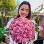 𝗦𝗔𝗡𝗗𝗥𝗔- 𝗧𝗛𝗘 𝗧𝗔𝗦𝗧𝗘 𝗢𝗙 𝗚𝗔𝗥𝗗𝗘𝗡 Ⓒ - @thetasteofgarden - Instagram