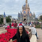 Sandra garden - @firstgarden61 - Instagram