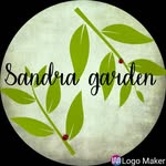 Sandra garden - @sandra_gardenpty - Instagram
