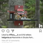 Sandra Garden - @sandra.garden.37 - Instagram