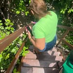 Sandra Gardênias Gardênias - @sandraa_gardenia - Instagram