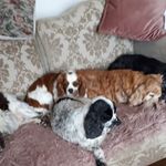 Sandra Gardiner - @sandra.gardiner.7545 - Instagram