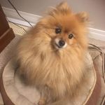 Sandra Gardiner - @sandra_gardiner - Instagram