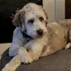 Sandra Garrison - @sandragarrison00 - TikTok