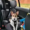 sandra.gartrell1996 - @sandra.gartrell1996 - TikTok