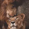 sandragashi - @sandra.h.2 - TikTok