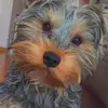 Sandra Jimenez Gasque - @sandrajigas16 - TikTok