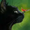 Sandra Gutiérrez Páramo - @sandra_gato - TikTok