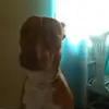 sandragato115 - @sandragato115 - TikTok