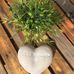 Sandra Gaudet - Facebook