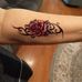 Sandra Gauntt - Facebook