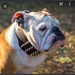 Sandra Genty - @sandra.genty2 - Instagram