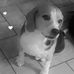 Sandra Gerstner - Facebook