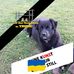 Gessner Sandra - Facebook