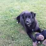 Gessner Sandra - @gessner.sandra.9 - Instagram