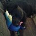 Sandra Gessner - Facebook