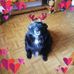 Sandra Gessner - Facebook