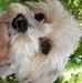 Sandra Geyer - Facebook