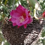 Sandra Geyer - @geyer5740 - Instagram