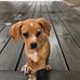 Sandra Geyer - Facebook