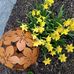 Sandra Geyer - Facebook
