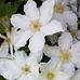 Sandra K. Blanchard Geyer - Facebook