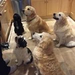 Sandra Gilbert - @sandragilbert1965 - Instagram