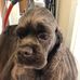 Sandra Gillingham - Facebook