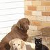 Sandra Gillingham - Facebook