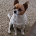 Sandra Gillingham Wilke - Facebook