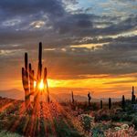 Sandra Gillingham Wilke - @wilke5511 - Instagram