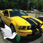 Sandra Gilman - @gilman697 - Instagram