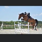 Sandra Girard - @sandra.girard.756 - Instagram