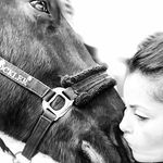 Sandra Girard - @comanimale2023 - Instagram