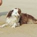 Sandra Girard - Facebook