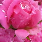 Sandra Giudice - Facebook